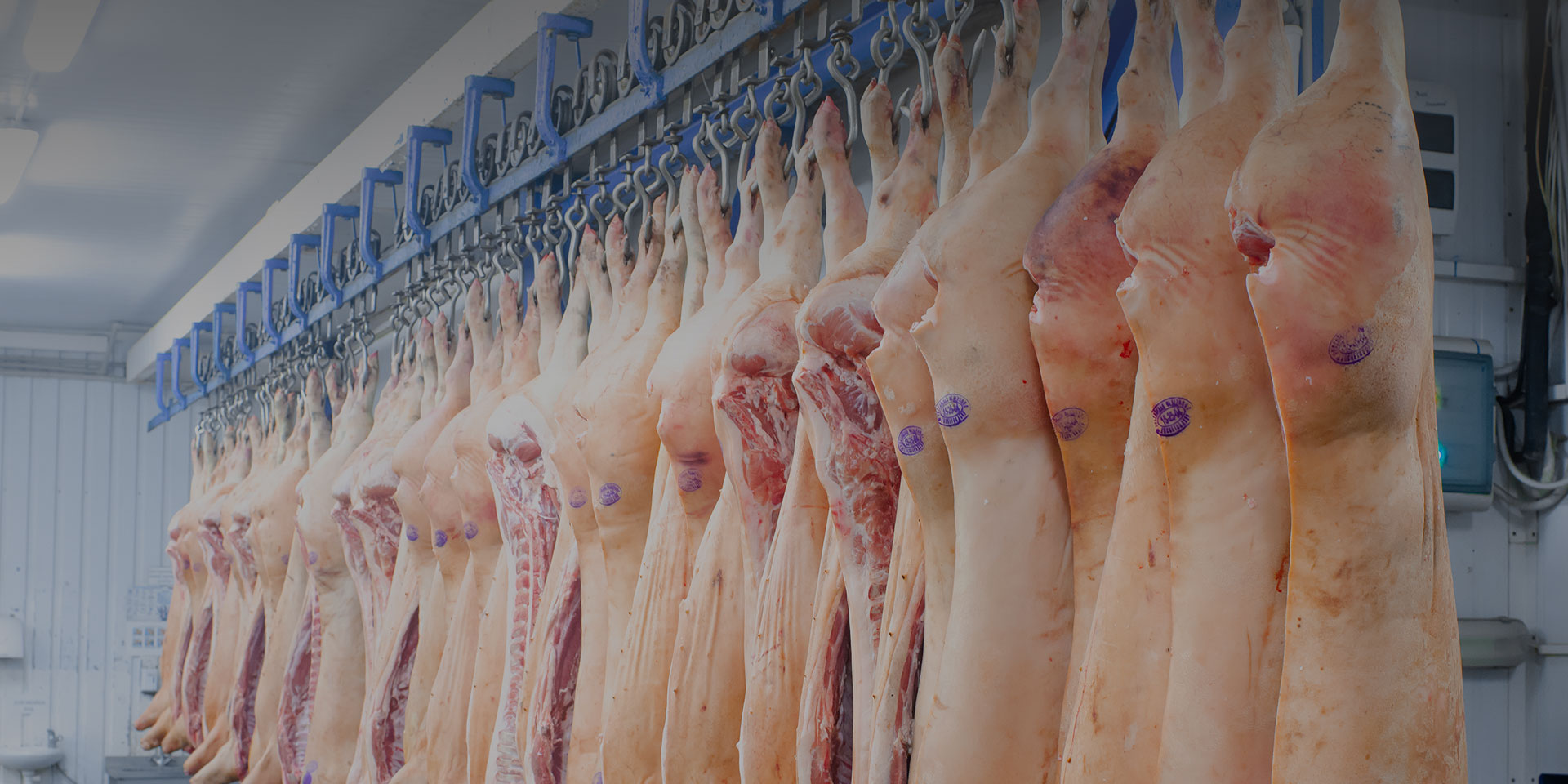 Fresh Food Solutions