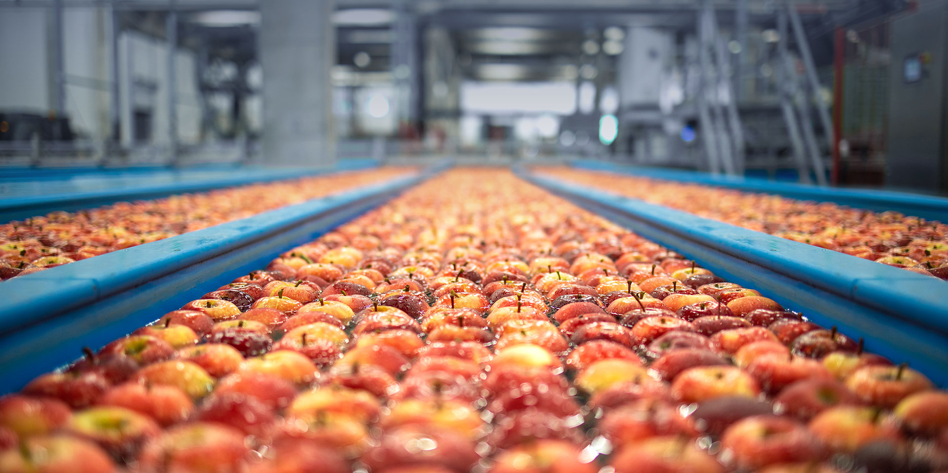 Fruit & Vegetable Solutions