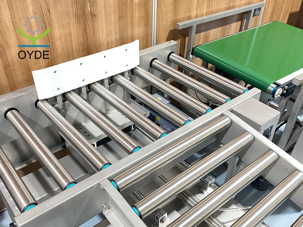 Factory Directly Supply Customized Check Weigher Weight Checking Machine