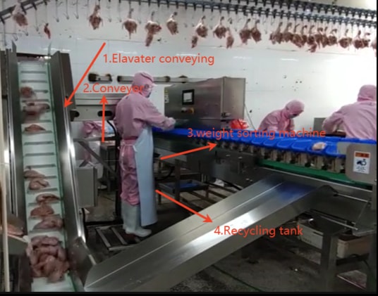 Poultry Industry Solution