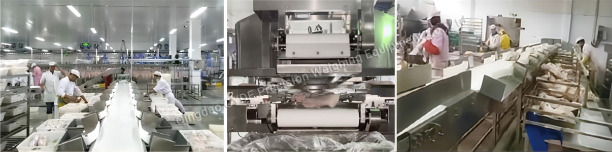 Pork Industry Solution