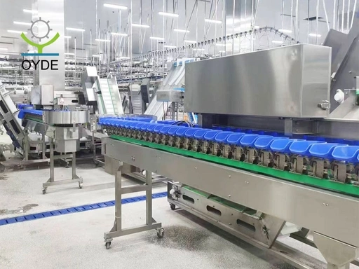 What is Box-Type Weight Sorter & How It Works