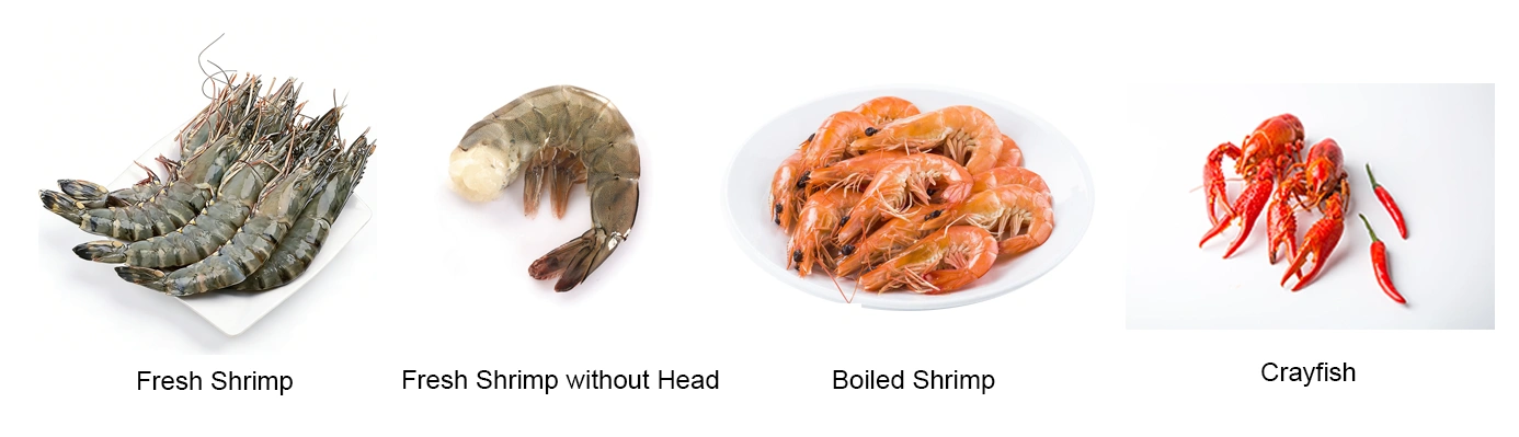Shrimp Weight Grading Solution for Seafood Factories