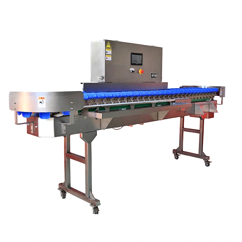 Automatic Weight Grading Solutions for Poultry Processing Plants