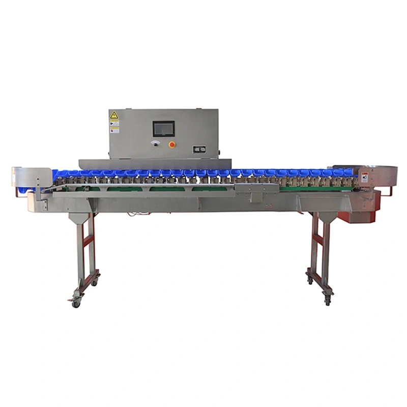 Belt-Type vs Box-Type Weight Sorters for Meat Processing
