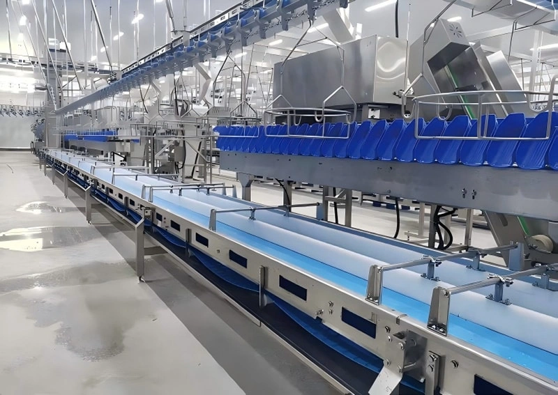 Belt-Type vs Box-Type Weight Sorters for Meat Processing