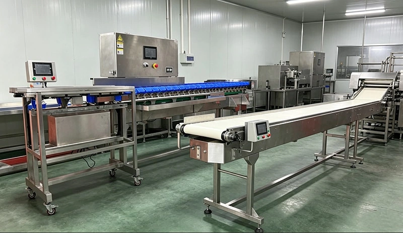 Belt-Type vs Box-Type Weight Sorters for Meat Processing