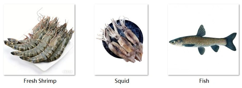 High Sensitivity Food Metal Detector for Seafood Processing