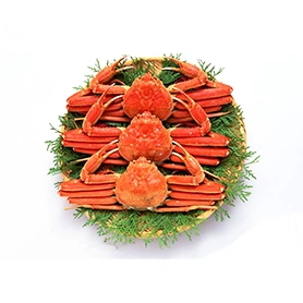 Snow Crab