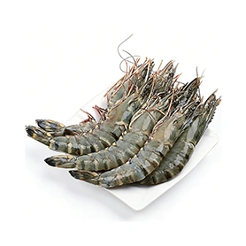 Fresh shrimp
