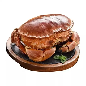 Bread Crab