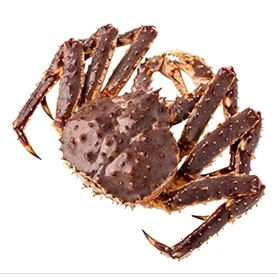 King Crab