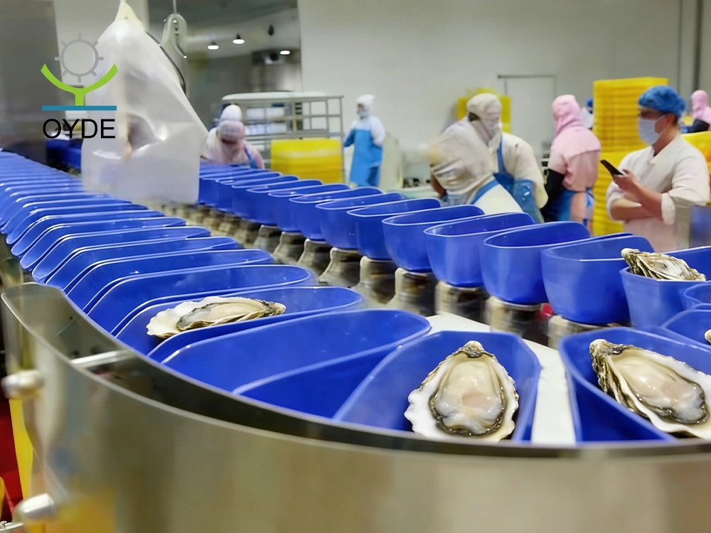 Oyster Box-Type Sorting Combination Scale