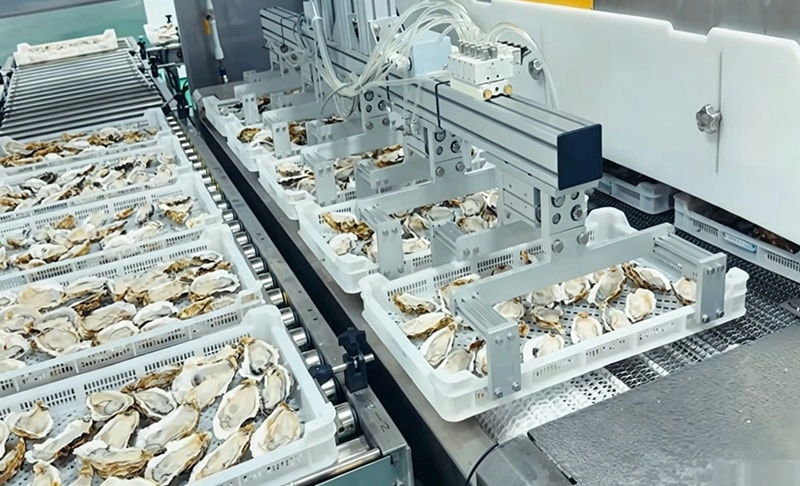 Oyster Cleaning and Grading Integrated Solution
