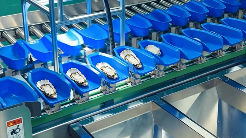 Oyster Cleaning and Grading Integrated Solution