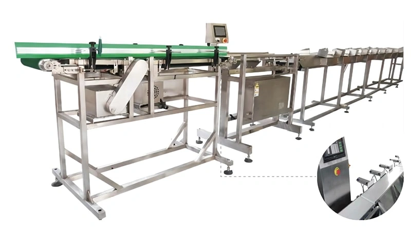 Intelligent Touch Screen Belt Weight Sorting Machine with Adjustable Speed
