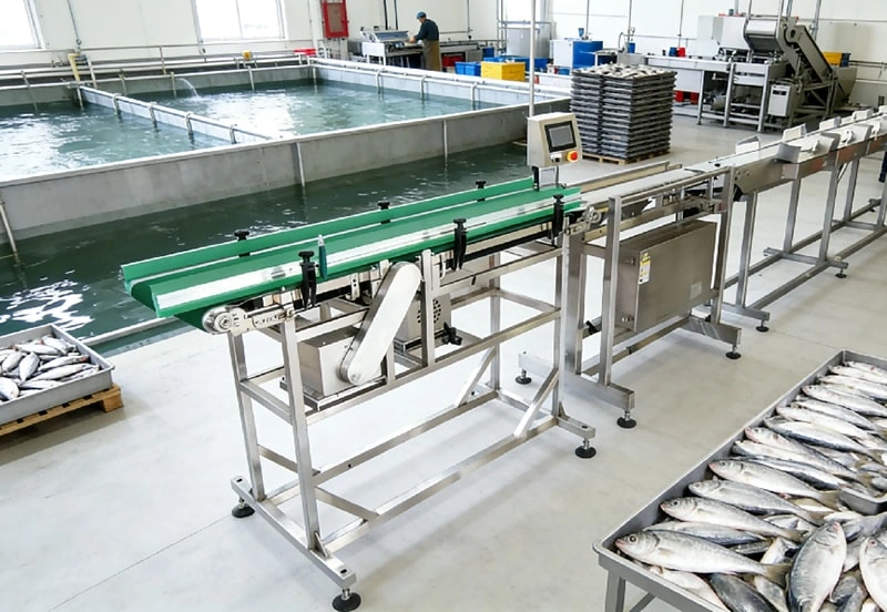 Intelligent Touch Screen Belt Weight Sorting Machine with Adjustable Speed