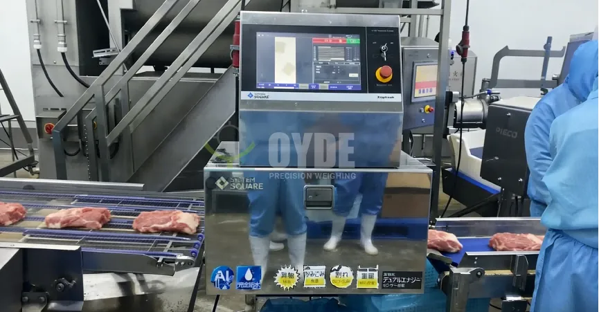 Industrial X-Ray Inspection Machine for Food Foreign Body Detection - detail image 2