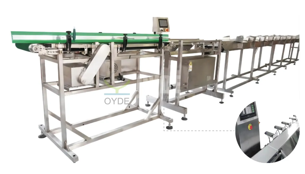 Belt Conveyor Weight Sorting Machine for Aquatic Processing Line