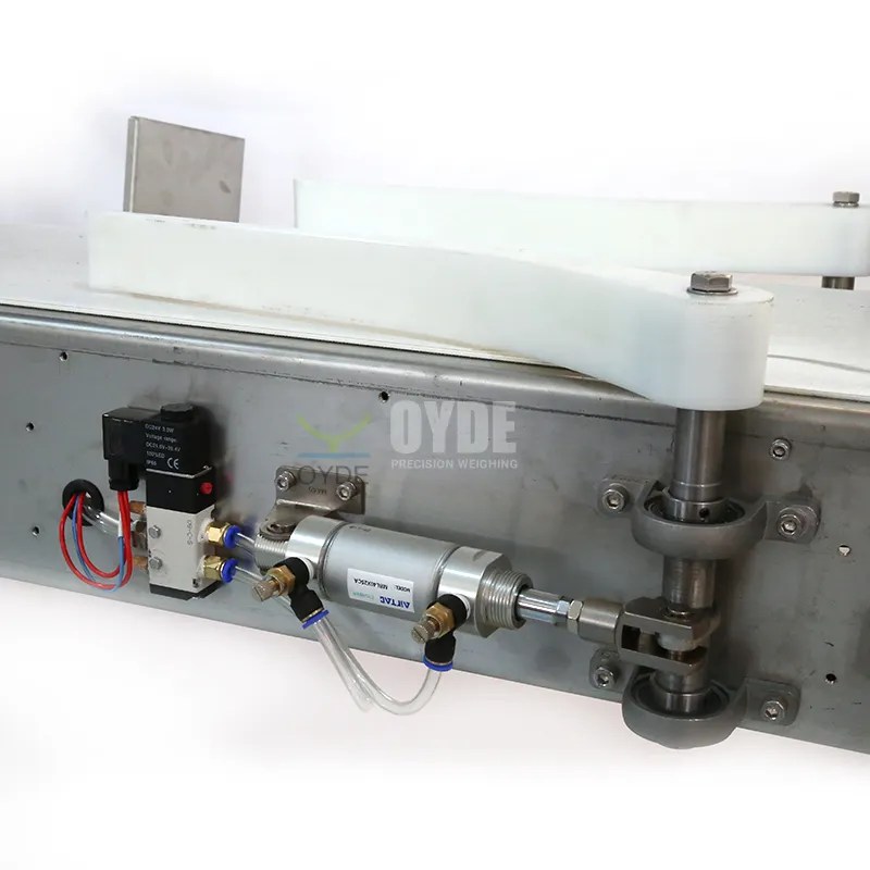 Belt Conveyor Weight Sorting Machine for Aquatic Processing Line - detail image 4