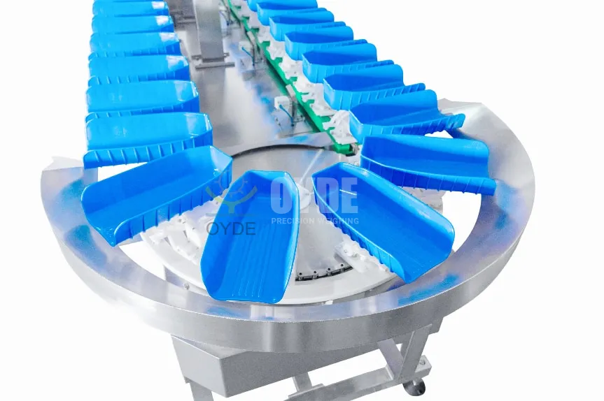 Rotating Trays Weight Sorting Machine Cut Labor Cost Up to 60% for Food Processing Plants