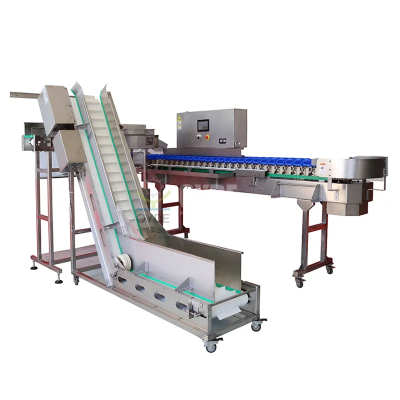 Rotating Trays Weight Sorting Machine Cut Labor Cost Up to 60% for Food Processing Plants - detail image 2