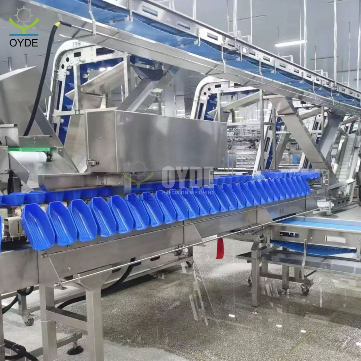 Rotating Trays Weight Sorting Machine Cut Labor Cost Up to 60% for Food Processing Plants - detail image 3